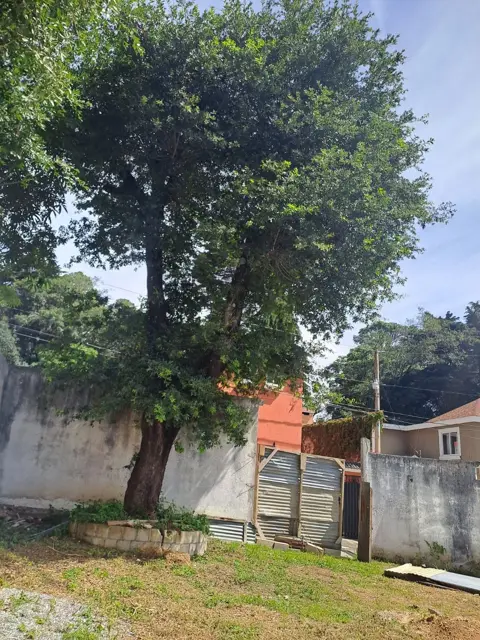 Árbol dentro del terreno · Terreno en condominio, zona 2