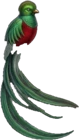 Quetzal